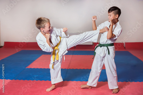 ?hildren demonstrate martial arts working together