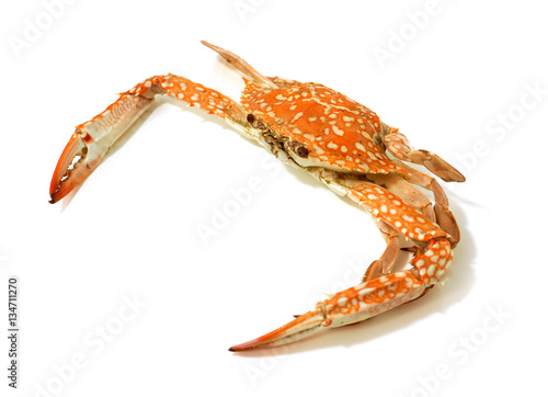 Steamed crabs photo side and top view on white background
