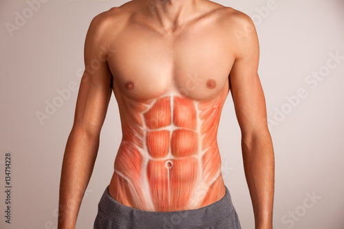 Human abdominal muscle. photo