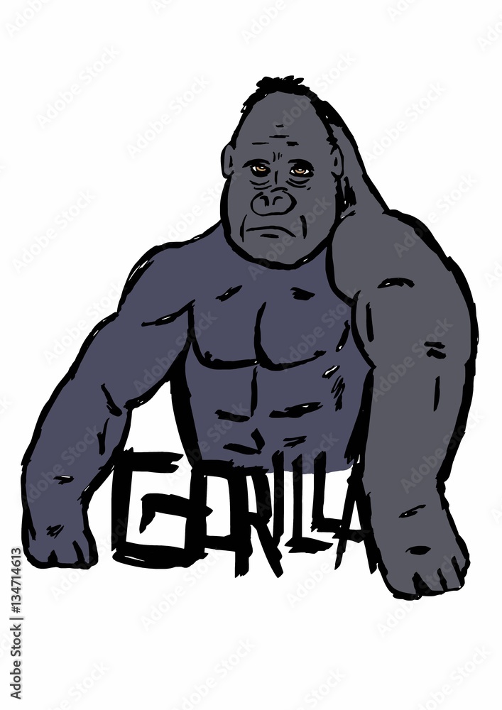 Gorilla Gorilla