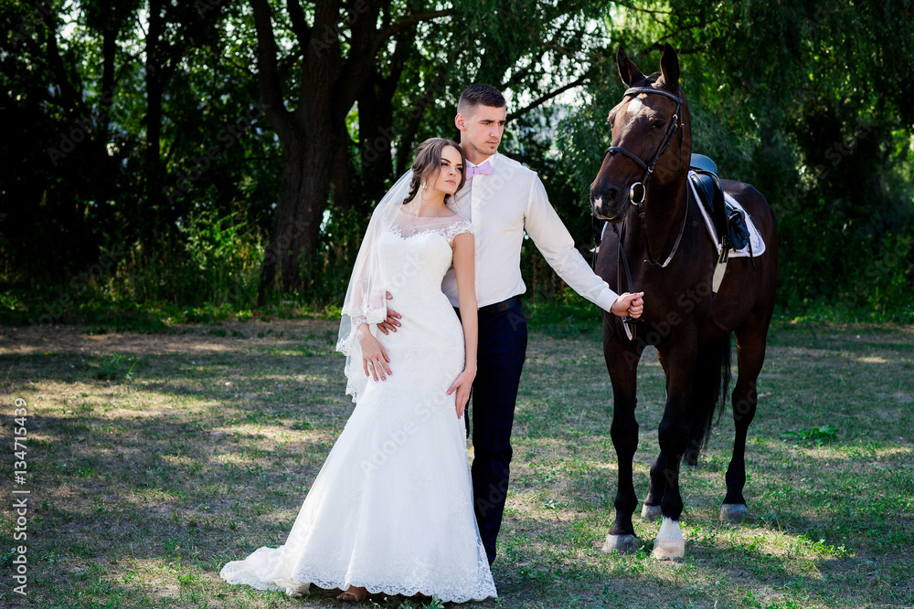 Bride and groom in forest with horses. Wedding couple  .Beautiful    portrait in nature