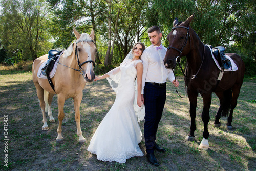 Bride and groom in forest with horses. Wedding couple .Beautiful portrait in nature