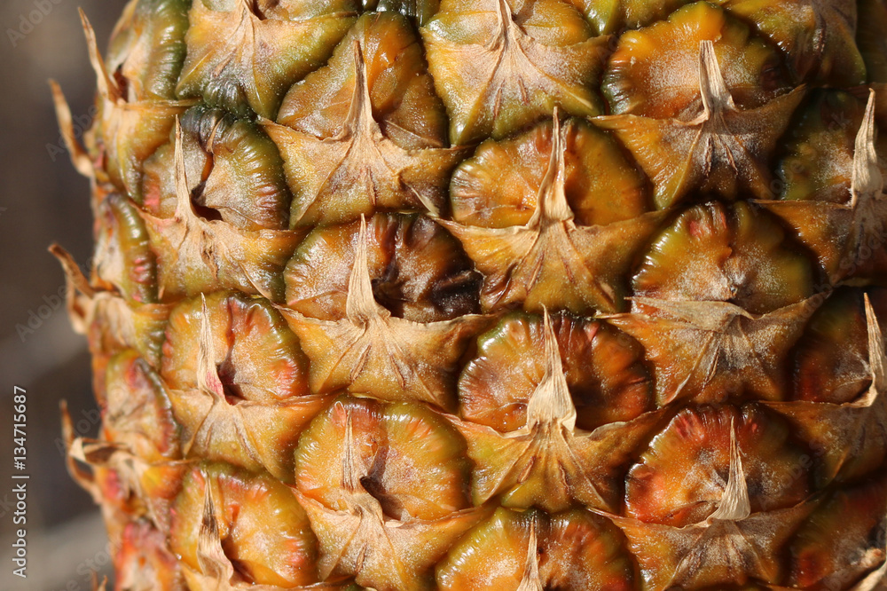 Ananas Ananas