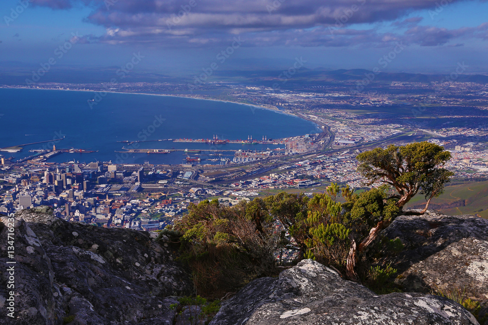 View from Table Mountain
