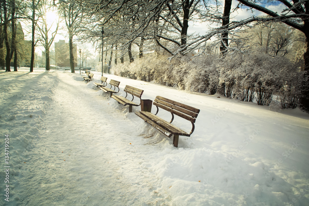 Aley in the winter snow-covered park with benches