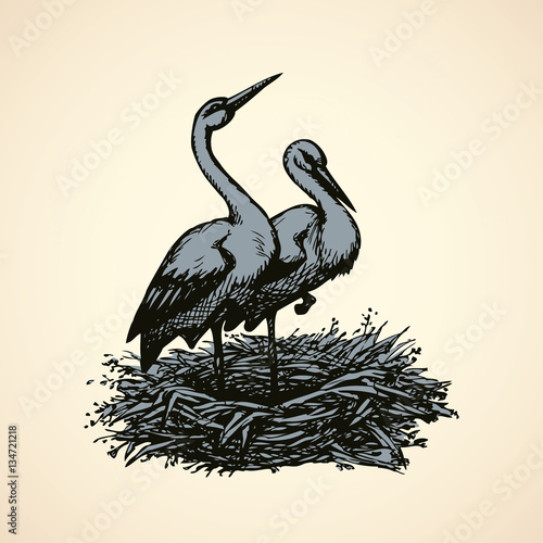 Vector background with pairs of storks in the nest