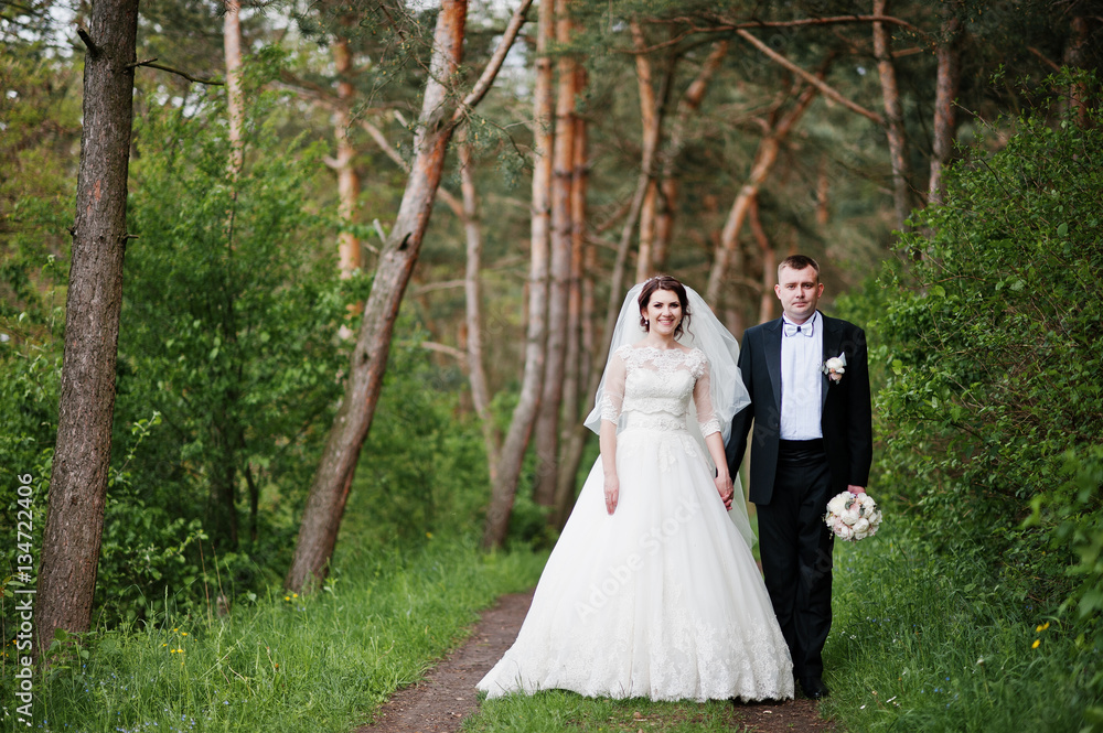 Elegance wedding couple at their day background pine forest. Hap Elegance wedding couple at their day background pine forest. Hap