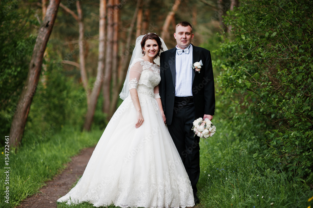 Elegance wedding couple at their day background pine forest. Hap