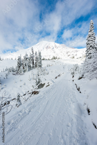 a path cover with snow in paradise area,scenic view of mt Rainier,washington,usa.