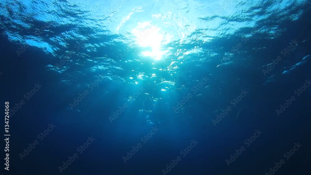 Underwater Underwater