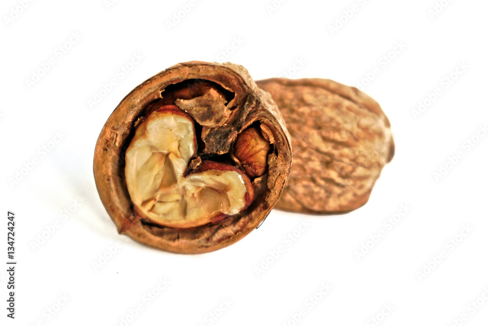 Closeup of walnuts on a white background Closeup of walnuts on a white background