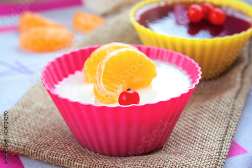 Panna Cotta and fruit jelly selective focus photo