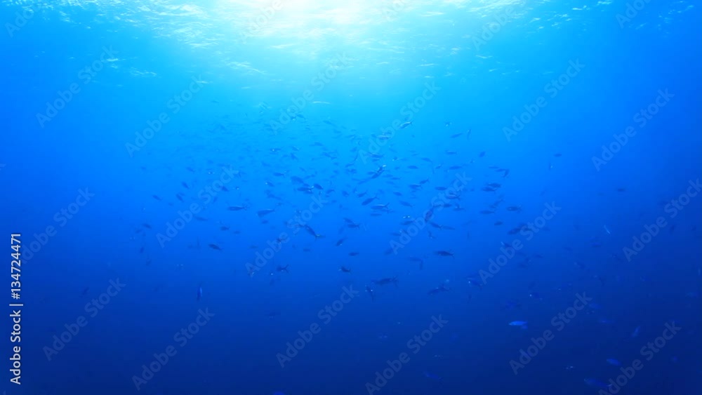 Underwater Underwater