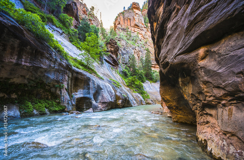zion narrow with vergin river in Zion National park,Utah,usa.