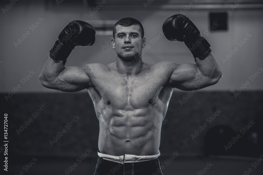 Boxer posing facing camera from front