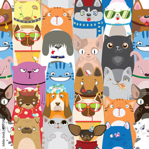 colorful pattern with funny cats and dogs