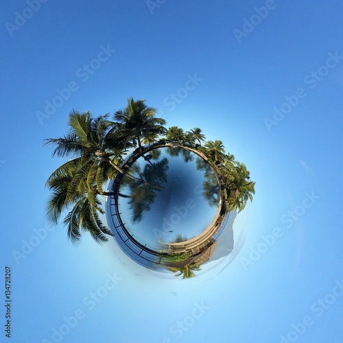 Surreal landscape with palms and sea