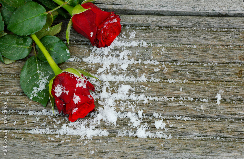 red roses and snow on wooden background for wallpaper.
Red rose and snow with space for text on the wooden floor. - obrazy, fototapety, plakaty 