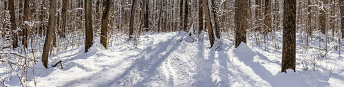 winter snow-covered road through the deciduous forest - winter landscape, banner, panorama