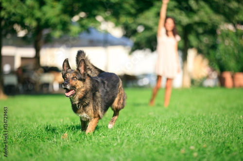 Woman With Her Dog In The Park