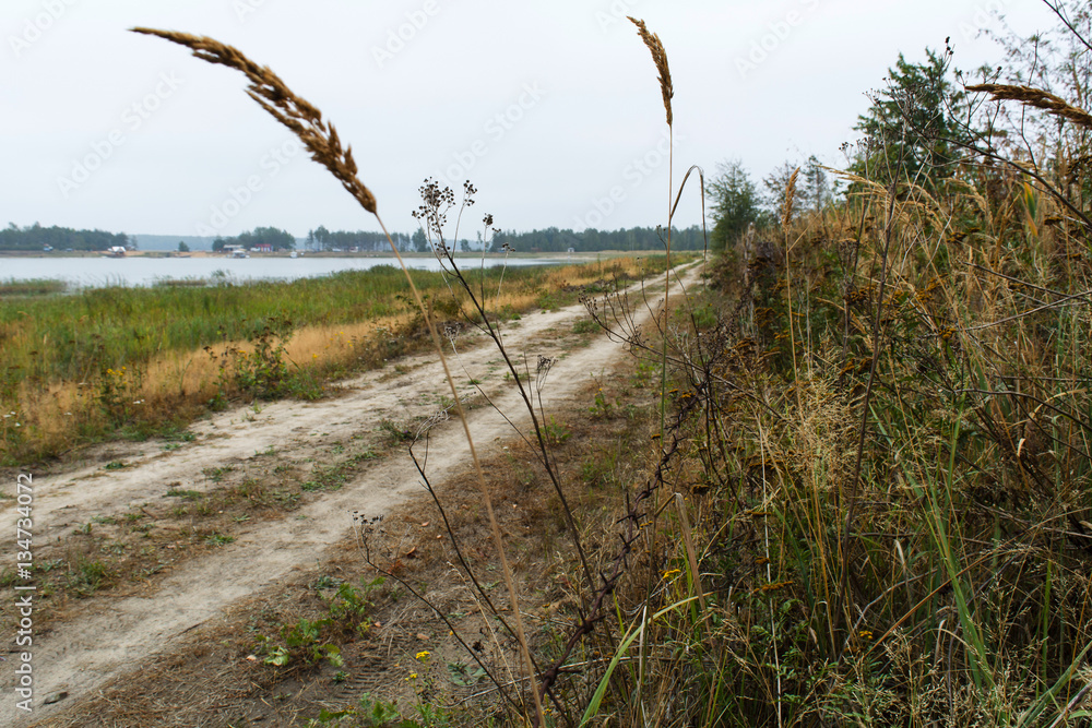 Obraz premium The road around the lake sand, barbed wire, fence, lake, agricultural enterprise, small business, Belarus, fall, overcast,