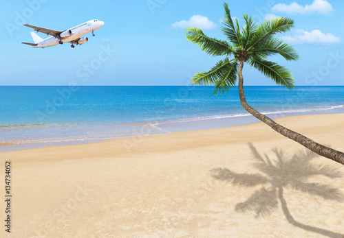 white passenger airplane landing above blue sea with coconut palm tree on the tropical beach  