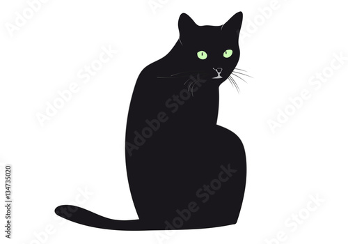 Schwarze Katze