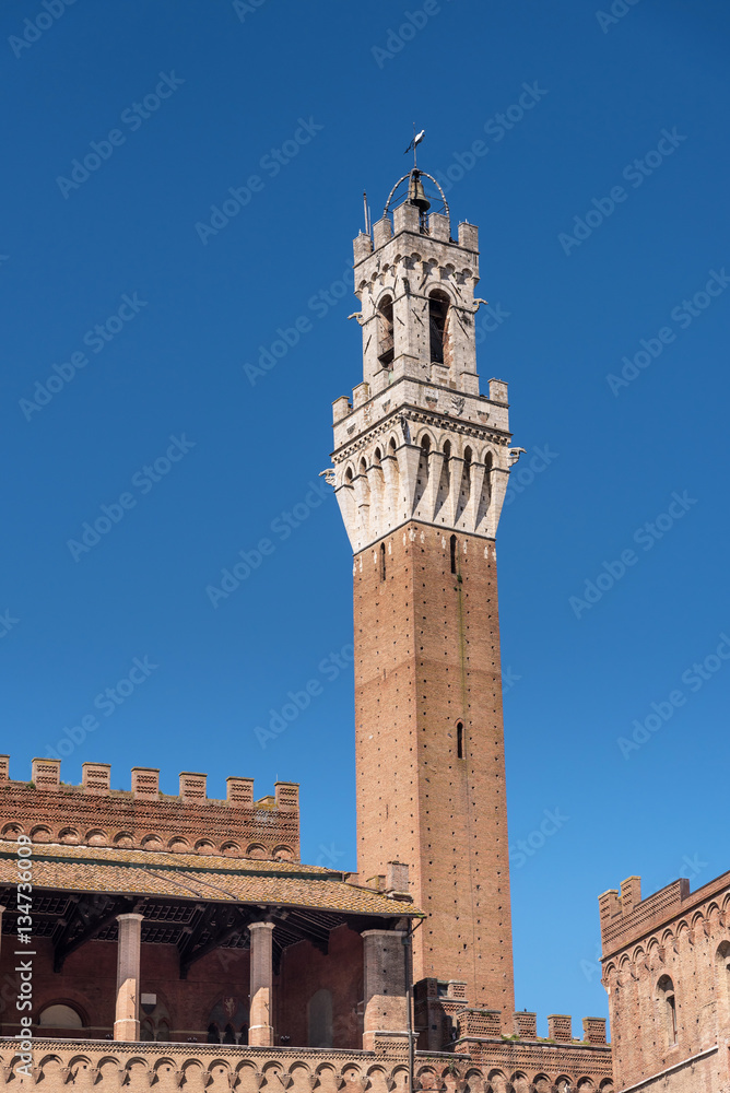 tower of Mangia in the historic center of Siena, tuscany, italy