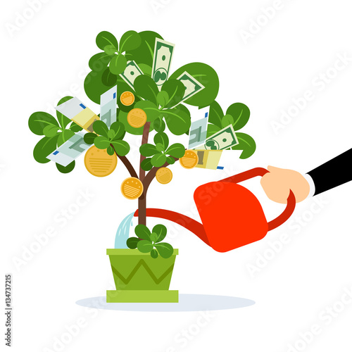 Money tree care vector isolated illustration. Human hand watering money tree