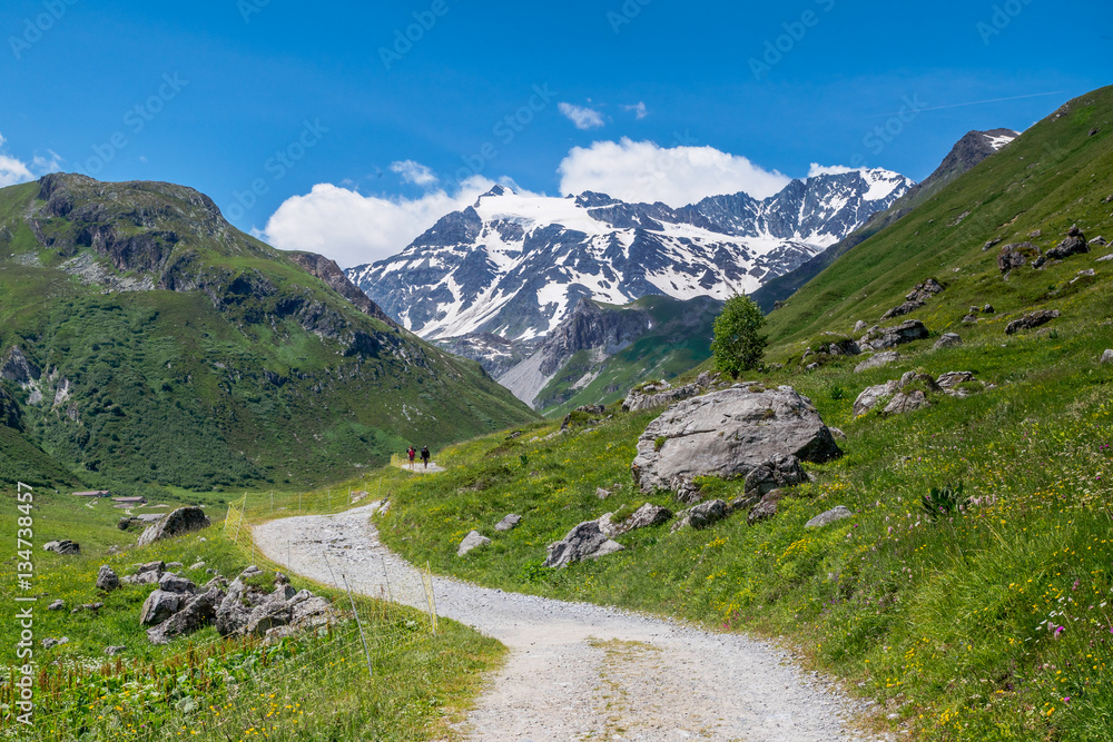 The Vanoise massif is an important mountain range of the Graian Alps in the  Western Alps. After the Mont Blanc Massif Stock Photo | Adobe Stock
