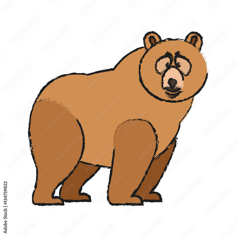 Fototapeta premium bear cartoon icon over white background. colorful design. vector illustration
