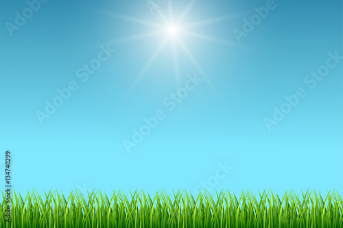 Clean blue sky and green grass vector background