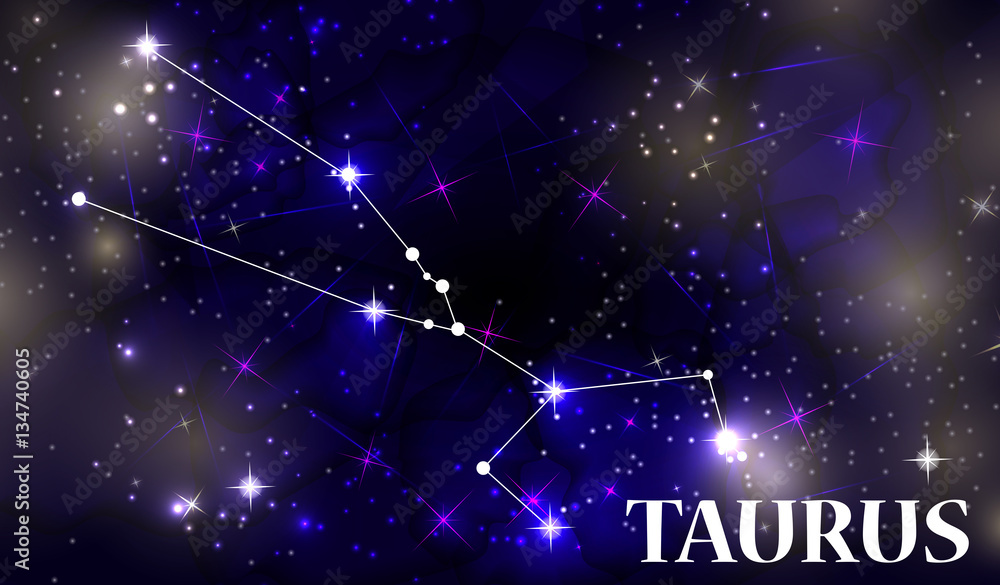 Symbol Taurus Zodiac Sign. Vector Illustration. Symbol Taurus Zodiac Sign. Vector Illustration.