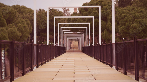 Slika na platnu Bridge in a park