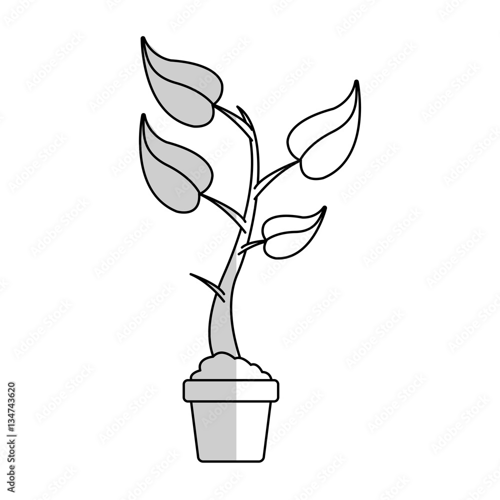 plant in a pot over white background. vector illustration plant in a pot over white background. vector illustration
