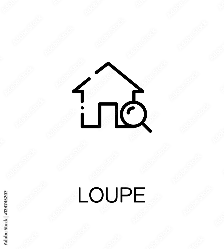 Loupe flat icon Loupe flat icon