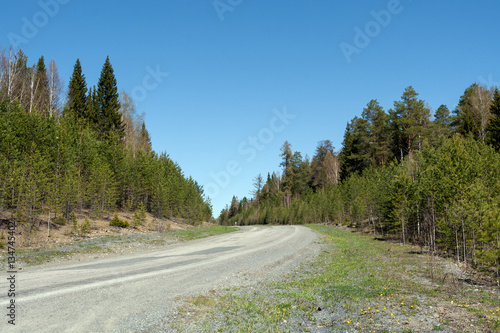 Perspective view of road, rising to slope in forest in spring.