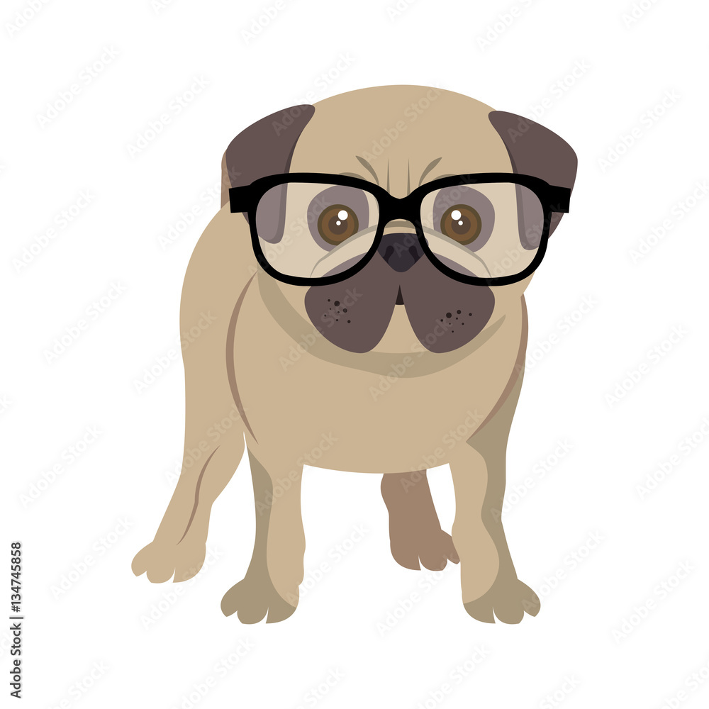 cute dog isolated icon vector illustration design cute dog isolated icon vector illustration design