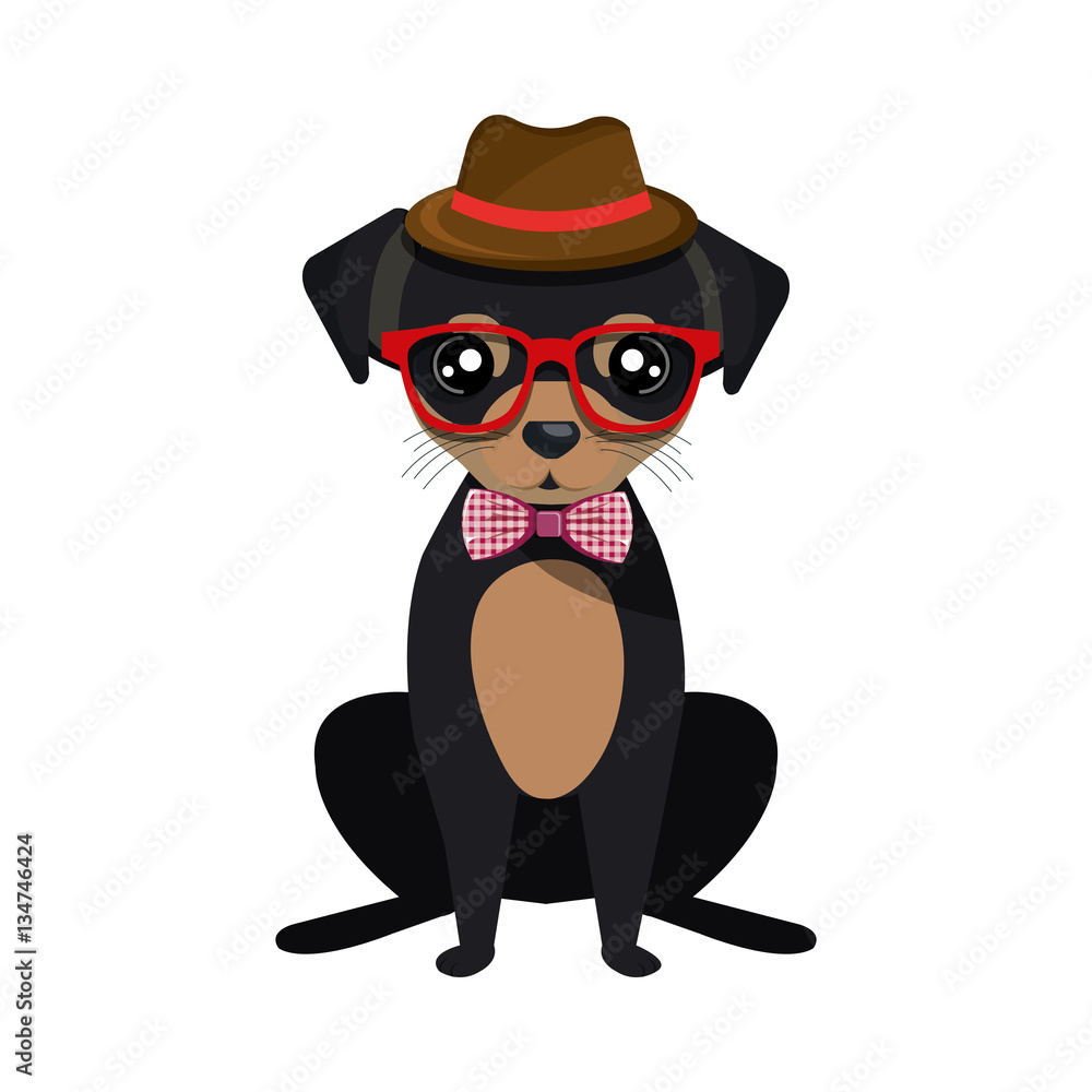 cute dog hipster style vector illustration design