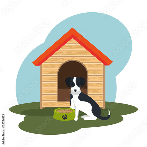 cute dog isolated icon vector illustration design