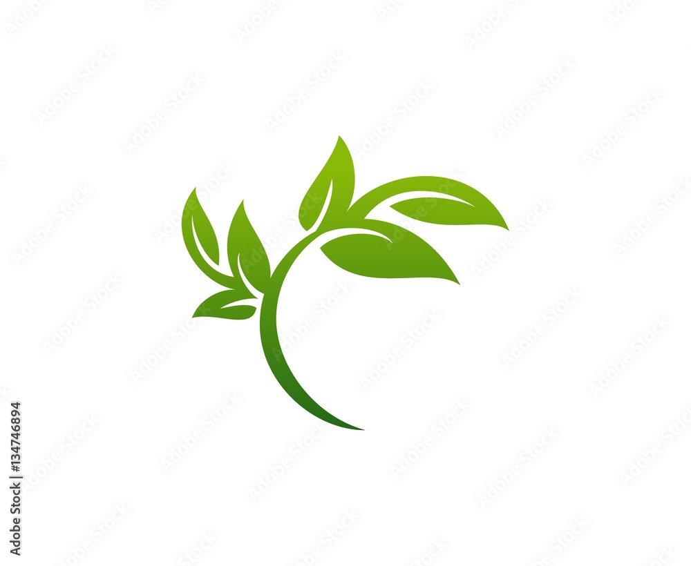 Fototapeta premium Leaf logo