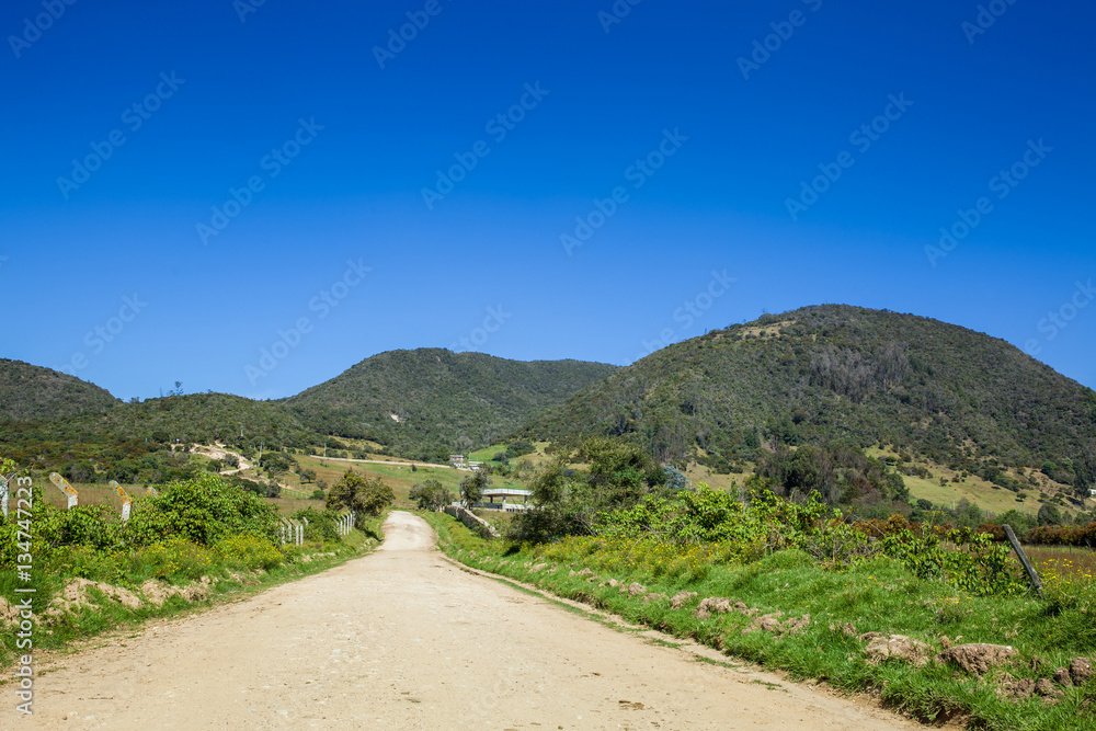 Fototapeta premium Countryside landscape under deep blue sky