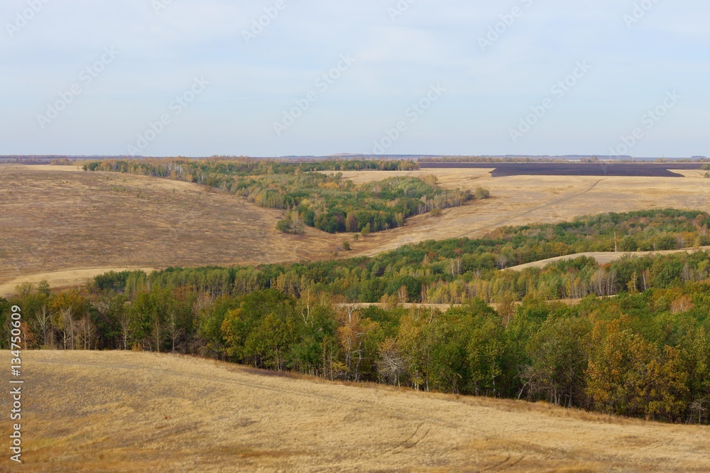 Осенний лес в степи