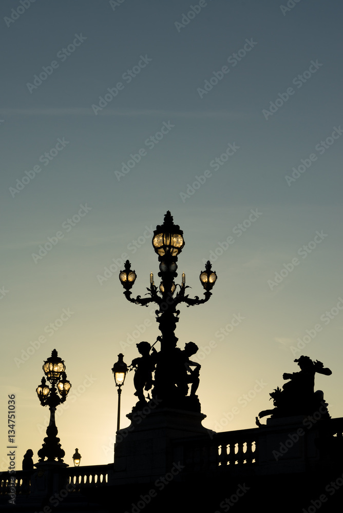 Bridge of the Alexandre III, Paris Bridge of the Alexandre III, Paris