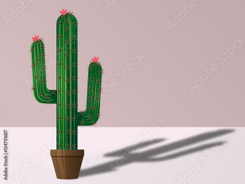 cactus Tripode