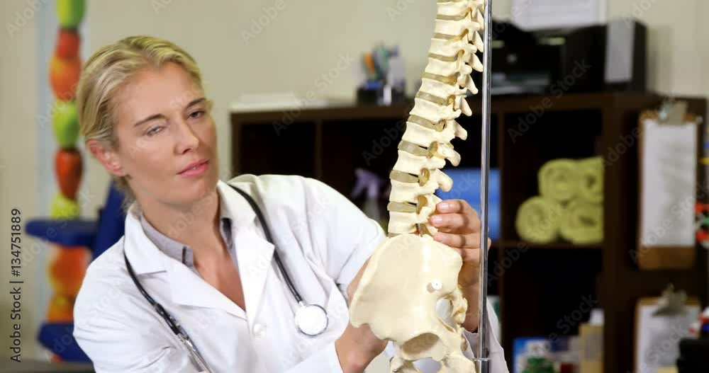 Physiotherapist looking at spine model in clinic 4k Physiotherapist looking at spine model in clinic 4k