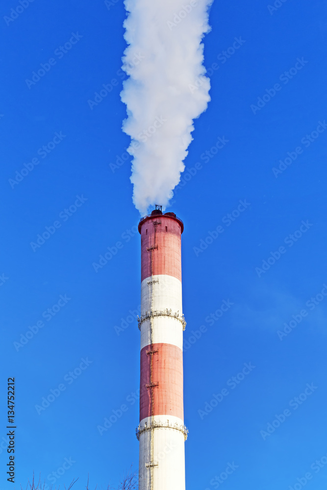 Chimney with steam production of a thermal power station