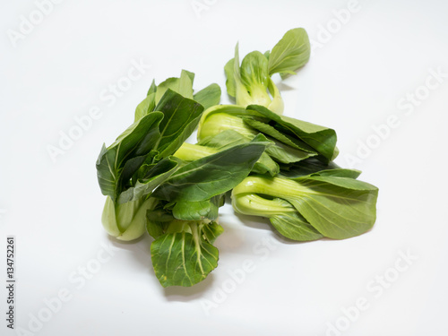 Green Mini Chinese Cabbage on white background