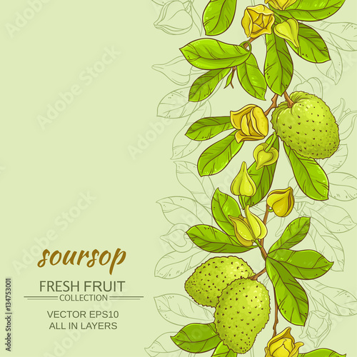 soursop vector background