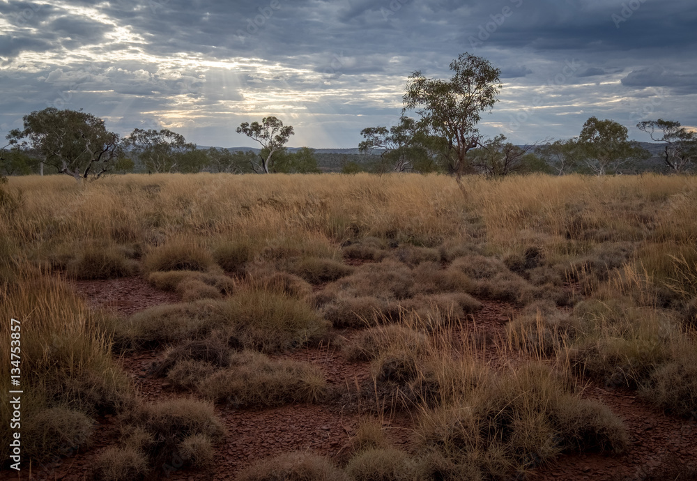 Karijini National Park, Pilbara, Hamersley Range, Western Australia